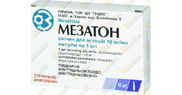 МЕЗАТОН (MESATONUM)_5faebfc4529b6.png